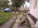 дом в центре,село Александровка 70кв.м.55.000ye